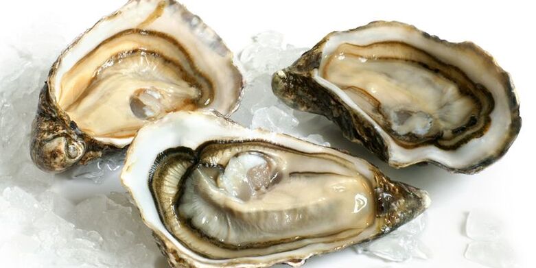 oysters for potential photo 2